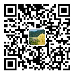 手机购彩-用户注册